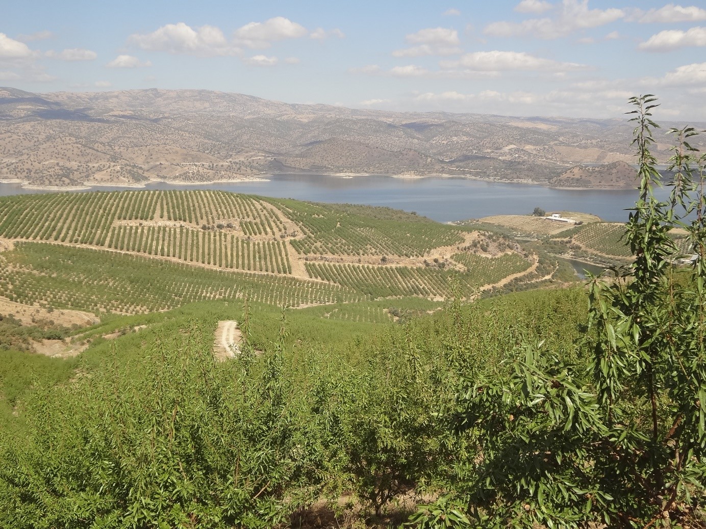 Ekostar Tarım Yatırımları