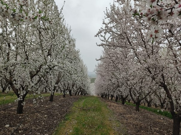 Ekostar Tarım Yatırımları