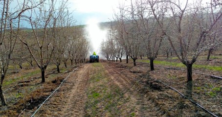 Ekostar Tarım Yatırımları